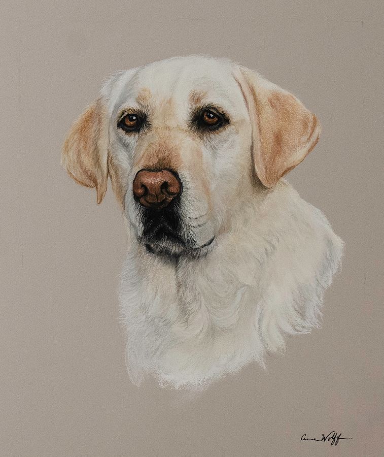 Fine Pet Portraits of your dog by Anne Wolff, Award-Winning Animal Artist